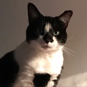 Meet your Posher, Beth